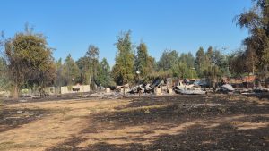 618970360_1361896382618151_1296917621629698662_n