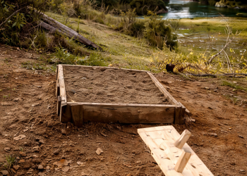 Imagen mejorada con IA