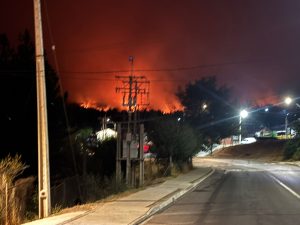 WhatsApp Image 2026-01-15 at 08.43.26