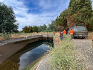 WhatsApp Image 2026-01-15 at 10.58.24