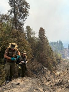 WhatsApp Image 2026-01-15 at 14.48.55