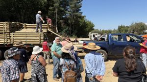 373 Kits de Cierre Perimetral (4)