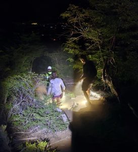 WhatsApp Image 2026-02-01 at 12.08.22