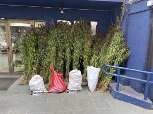 WhatsApp Image 2026-02-03 at 12.08.44