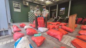 WhatsApp Image 2026-02-04 at 16.44.49