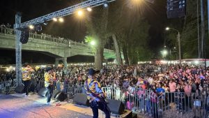 fiesta vino ranquil 2026