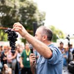 WhatsApp Image 2026-03-18 at 16.02.54