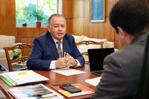 director conaf ñuble 2026