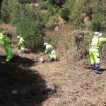 CONAF apoya la creación de parque urbano y protege contra incendios forestales en Coelemu 