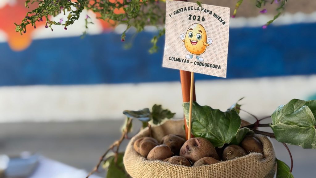 WhatsApp Image 2026-04-05 at 14.15.14