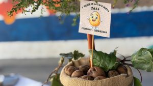 WhatsApp Image 2026-04-05 at 14.15.14