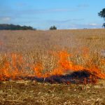 Municipalidad de Quirihue coordina atención especial de CONAF para trámites de quemas agrícolas y forestales
