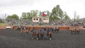 rodeo