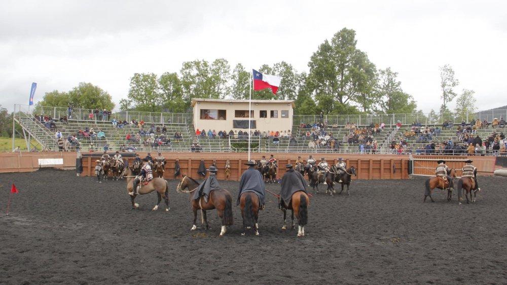 rodeo