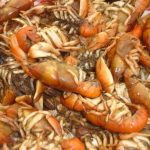 El lado más sabroso del invierno: la temporada del camarón de vega revive una tradición campesina