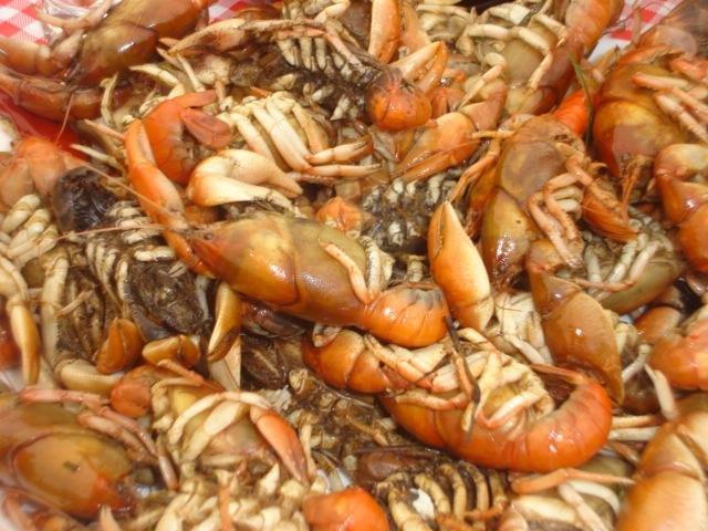 Camarones Cocidos