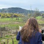 INDAP Ñuble catastrará más de 1200 agricultores afectados para focalizar apoyos tras declaración de emergencia agrícola