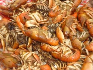 Camarones Cocidos