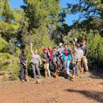 Reforestación comunitaria fortalece la recuperación del bosque nativo en Altos de Ninhue