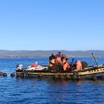 Atención pesca artesanal de Ñuble: Amplían plazo para postular a fondo de reactivación económica