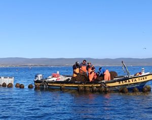 Fondo de Reactivación Económica Pesca Artesanal