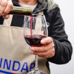 Del Valle del Itata al mundo: pequeños viñateros conquistan nuevos mercados con sus vinos