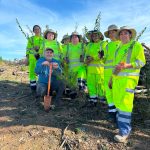 CONAF impulsa reforestación de zona afectada por incendios en Quirihue
