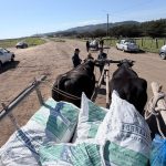 Entregan 5,5 toneladas de alimento a productores afectados por la emergencia agrícola en Cobquecura