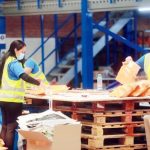 Plan Chile Despega contempla $24.485 millones de inversión y 1.475 empleos en Ñuble