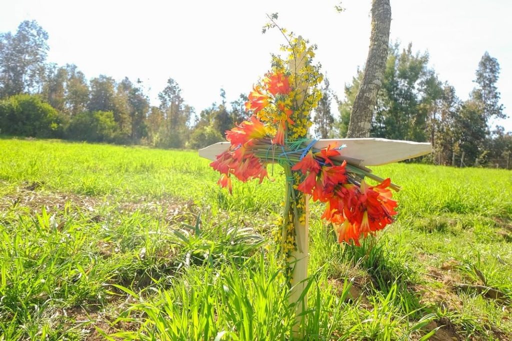 CRUZ DEL TRIGO