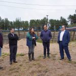 Cambiarán pinos por 1.600 árboles nativos en el Parque Ramadero de Ninhue